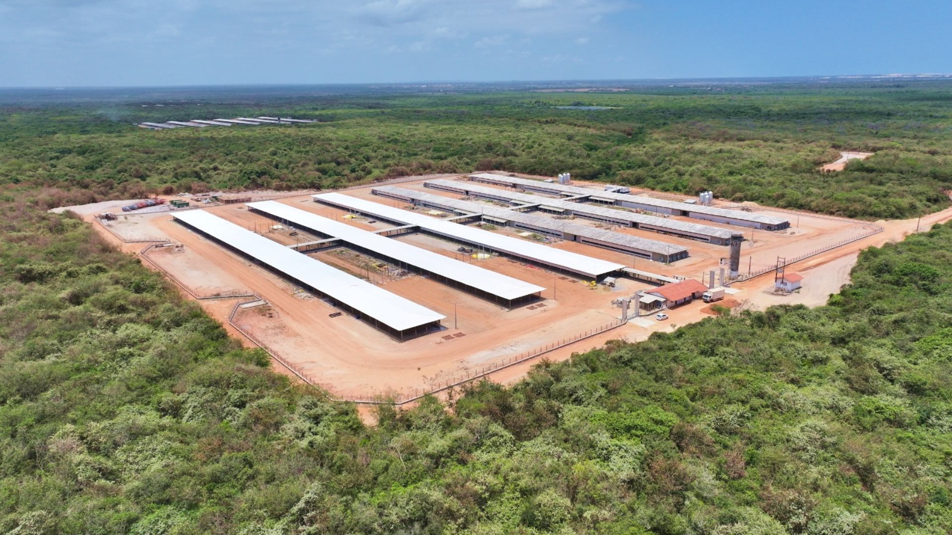 Cialne XXX